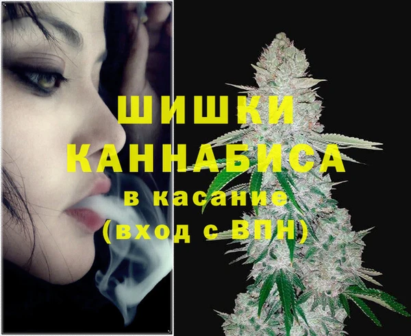 PSILOCYBIN Алзамай