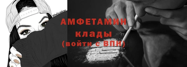 PSILOCYBIN Алзамай
