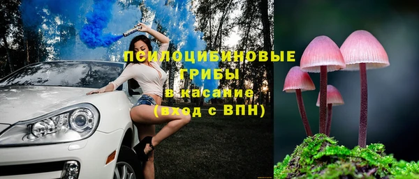 PSILOCYBIN Алзамай