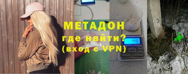 индика Алексин