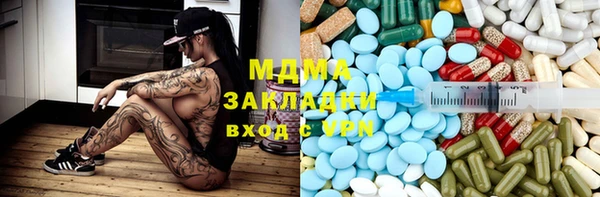индика Алексин