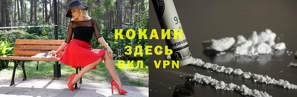 индика Алексин