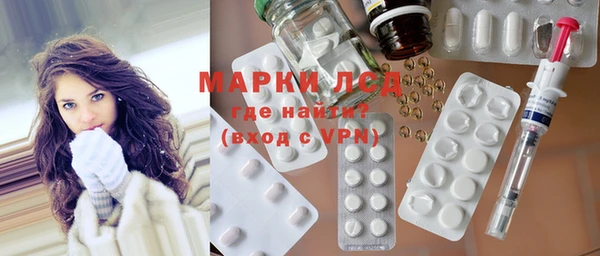индика Алексин