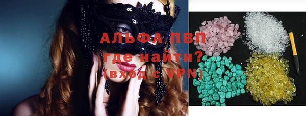 PSILOCYBIN Алзамай