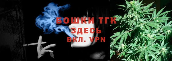 PSILOCYBIN Алзамай