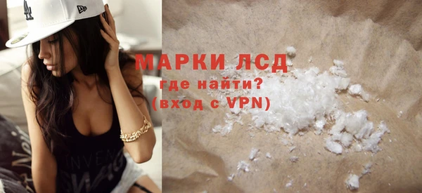 индика Алексин